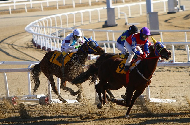 Ascot Stakes betting 數據分析與策略