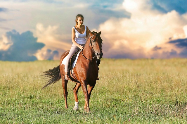in-running horse racing